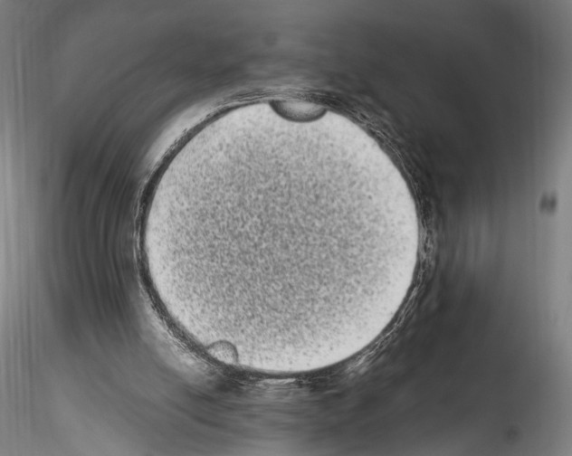 X0000114520054200911301125