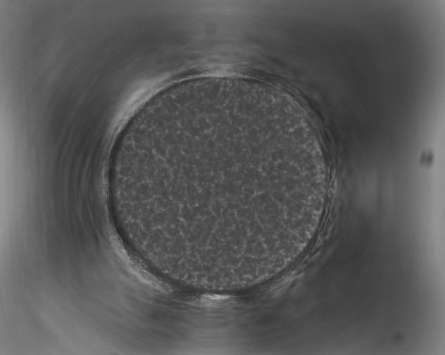 X0000114520055200911301125