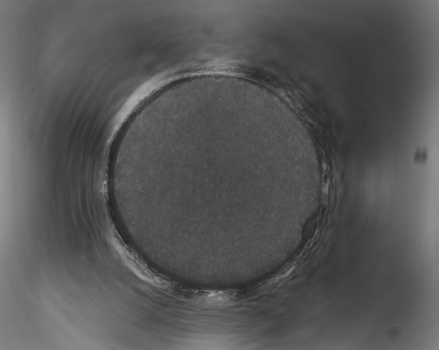 X0000114520056200911301125