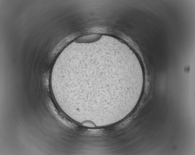 X0000114520057200911301125