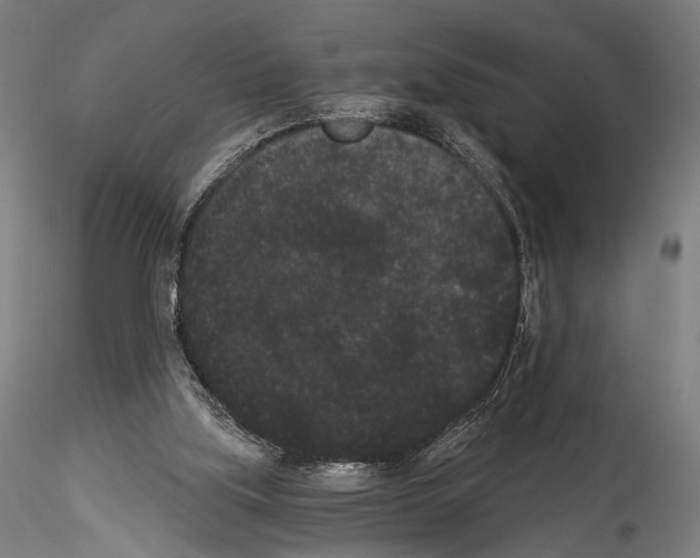 X0000114520059200911301125