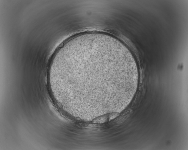 X0000114520060200911301125