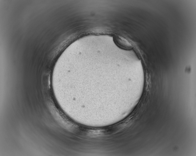 X0000114520061200911301125