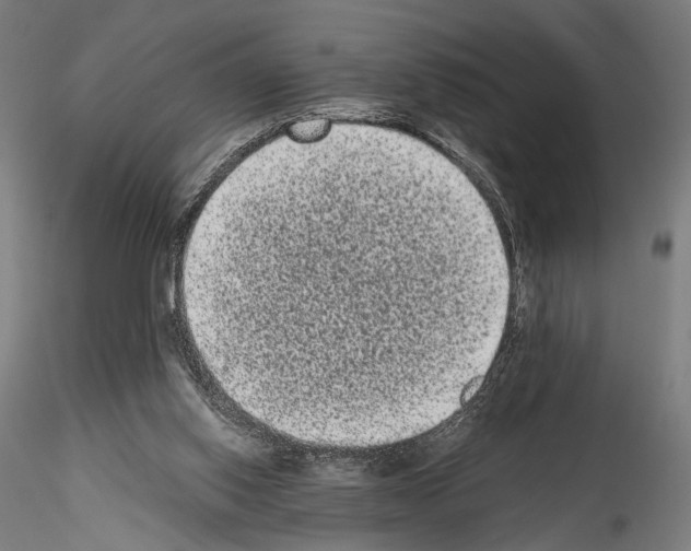 X0000114520062200911301125