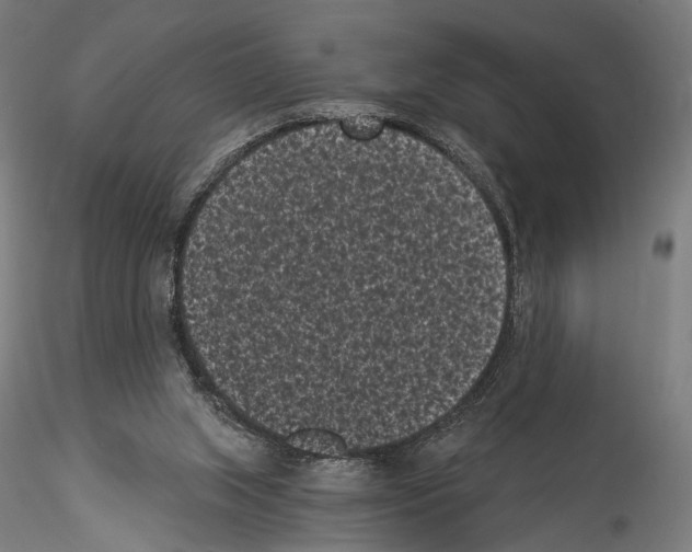 X0000114520063200911301125