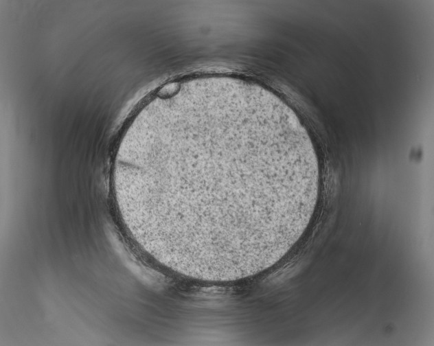 X0000114520064200911301125