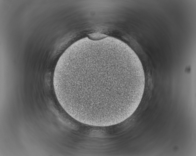 X0000114520066200911301125