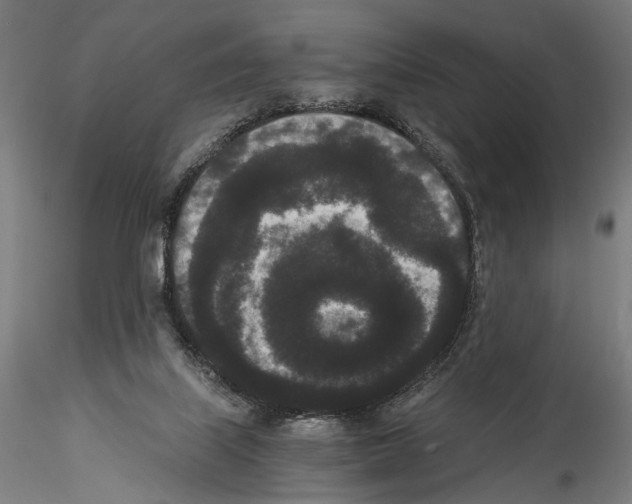 X0000114520067200911301125