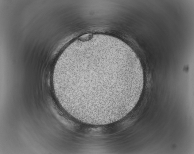 X0000114520068200911301126