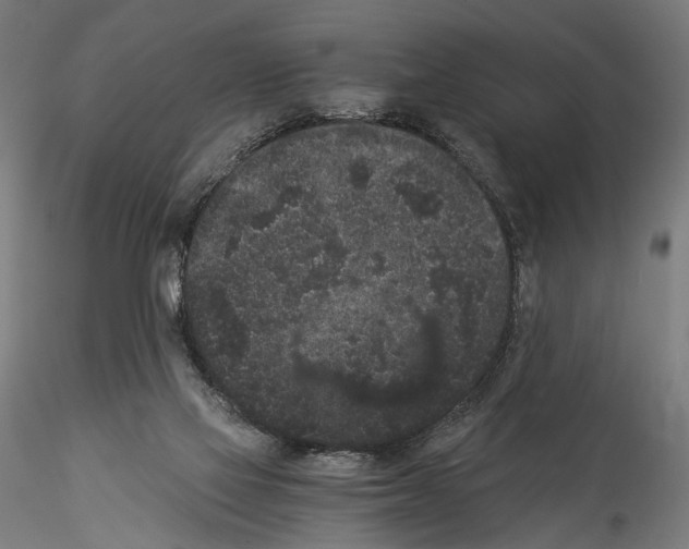 X0000114520069200911301126