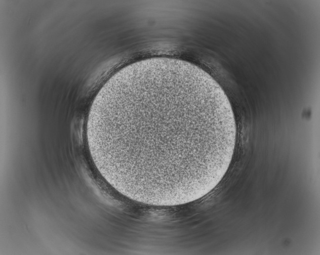 X0000114520070200911301126