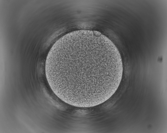 X0000114520071200911301126