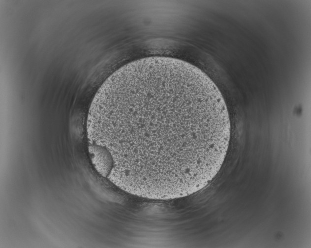 X0000114520074200911301126