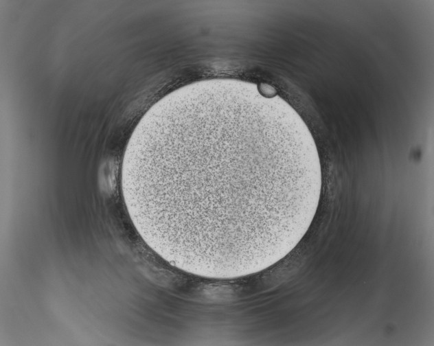 X0000114520075200911301126