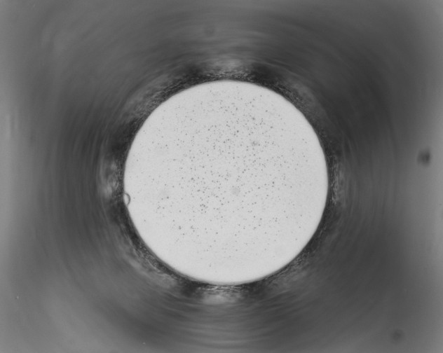 X0000114520077200911301126