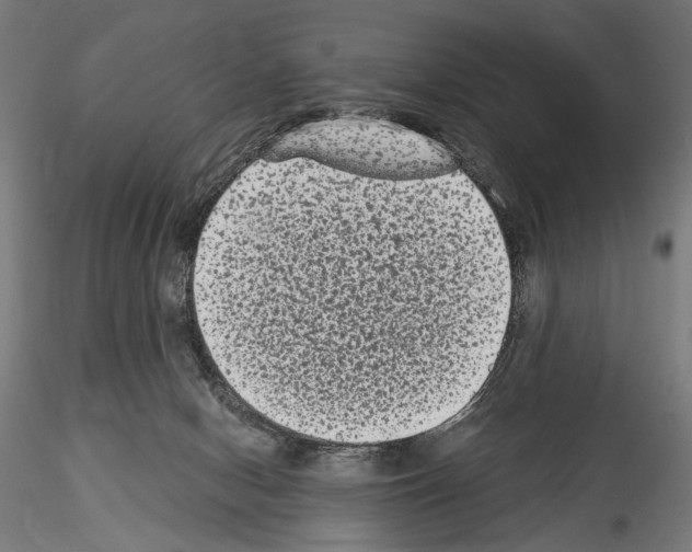 X0000114520078200911301126