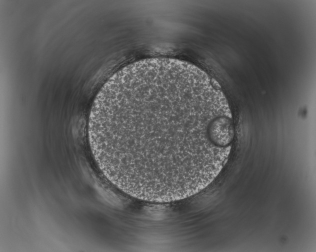 X0000114520079200911301126