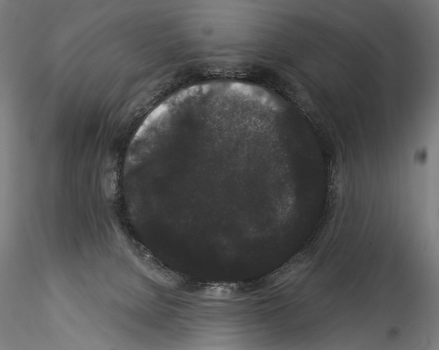 X0000114520080200911301126