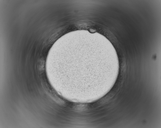 X0000114520081200911301126