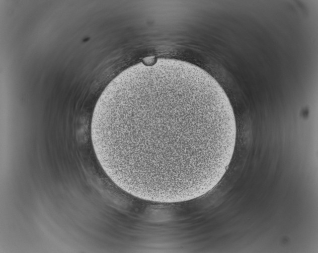 X0000114520082200911301126