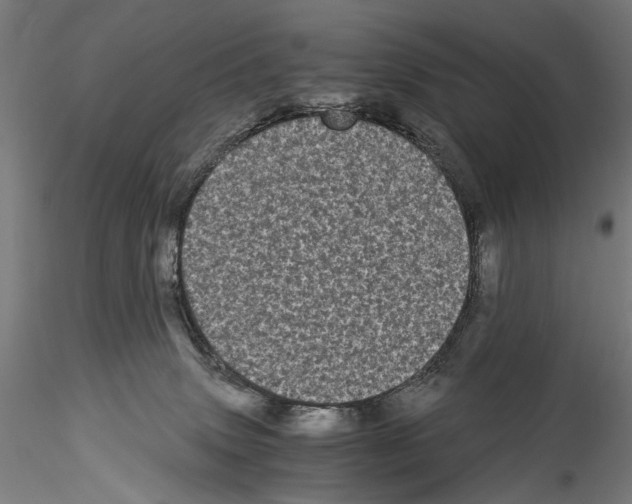 X0000114520083200911301126