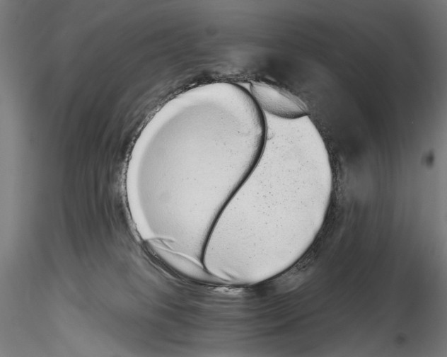 X0000114520085200911301126