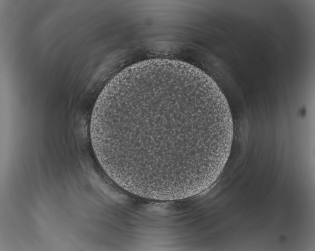 X0000114520086200911301126