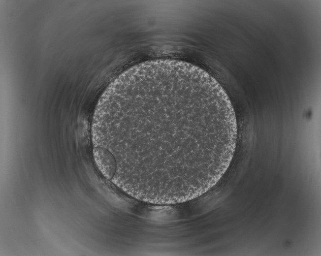 X0000114520087200911301126