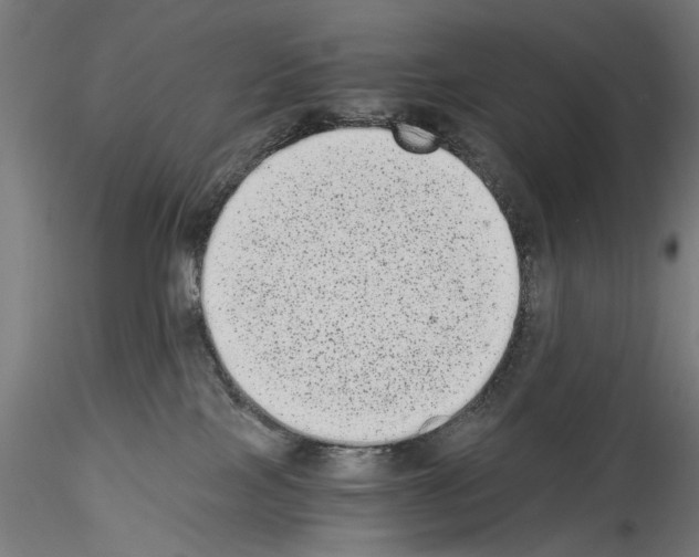 X0000114520089200911301126