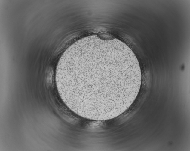 X0000114520092200911301126