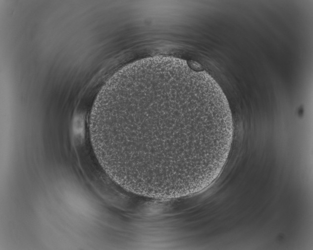 X0000114520094200911301126