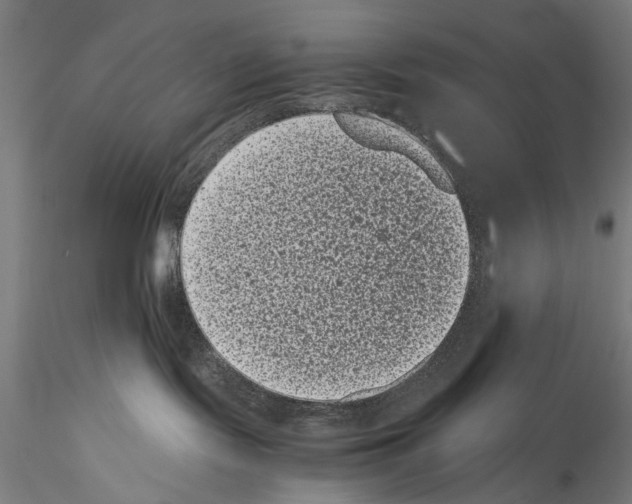 X0000114520095200911301126