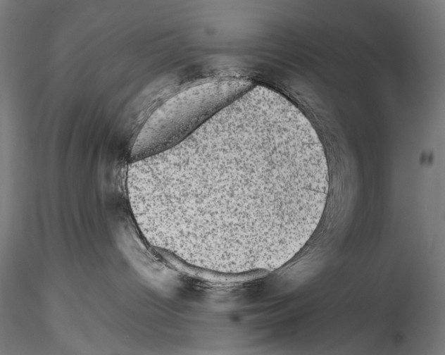 X0000114520096200911301126