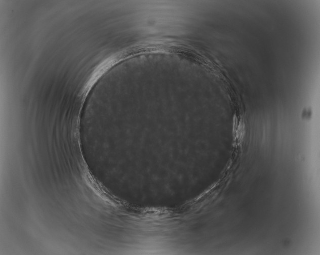 X0000114520099200911301125