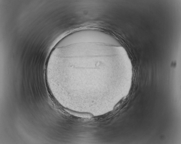 X0000114520100200911301125