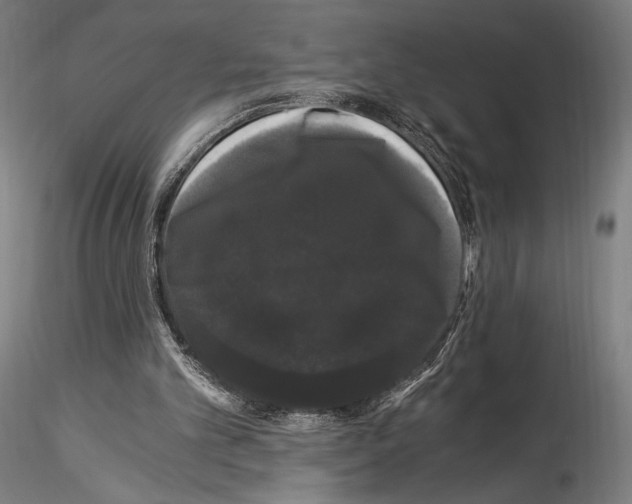 X0000114520101200911301125