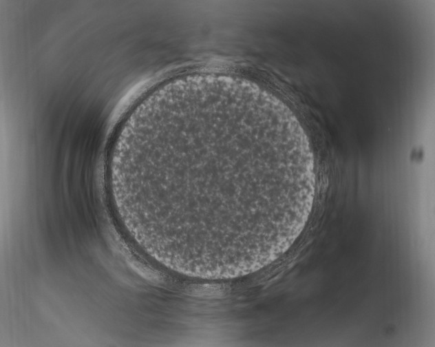 X0000114520102200911301125