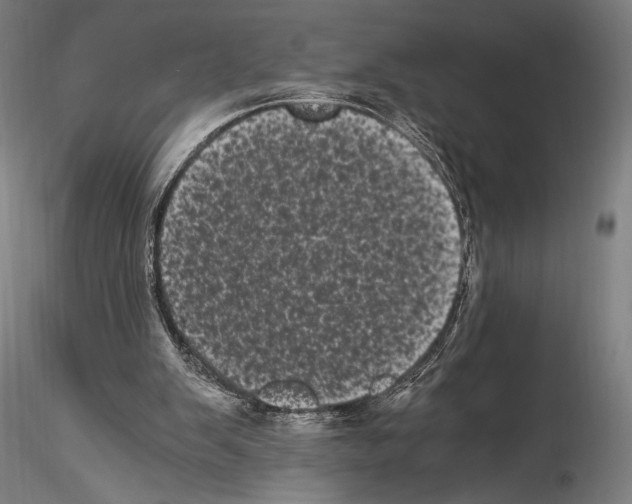 X0000114520103200911301125