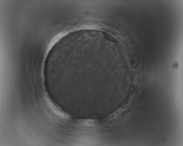 X0000114520104200911301125