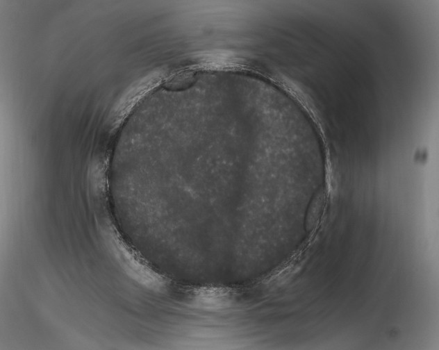 X0000114520105200911301125