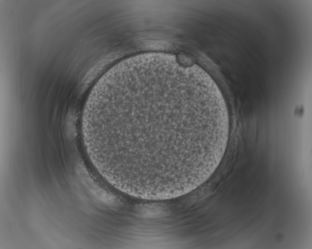 X0000114520106200911301125