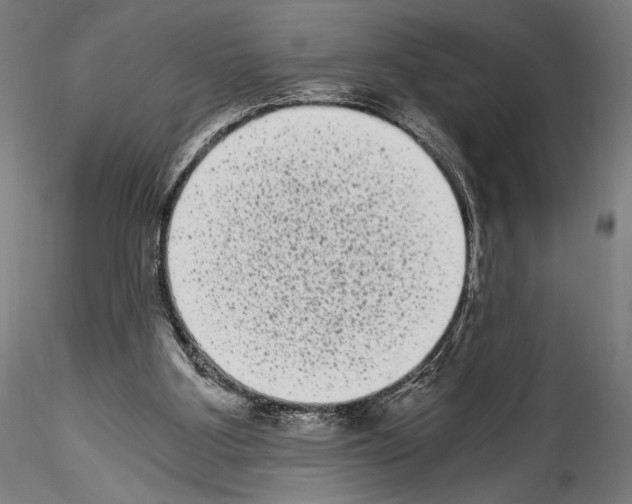 X0000114520107200911301125