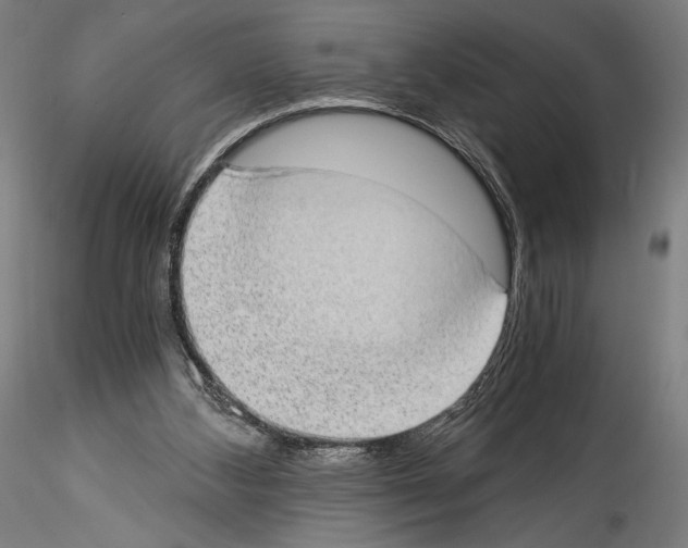 X0000114520108200911301125