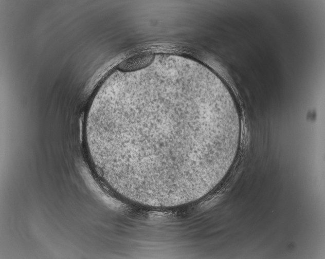 X0000114520109200911301125