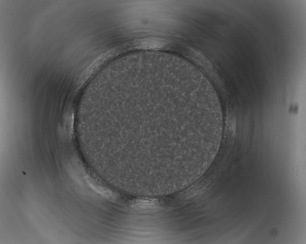 X0000114520110200911301125