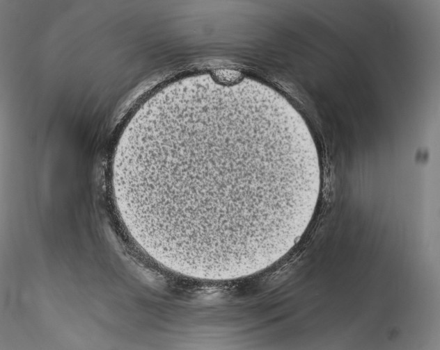 X0000114520111200911301125