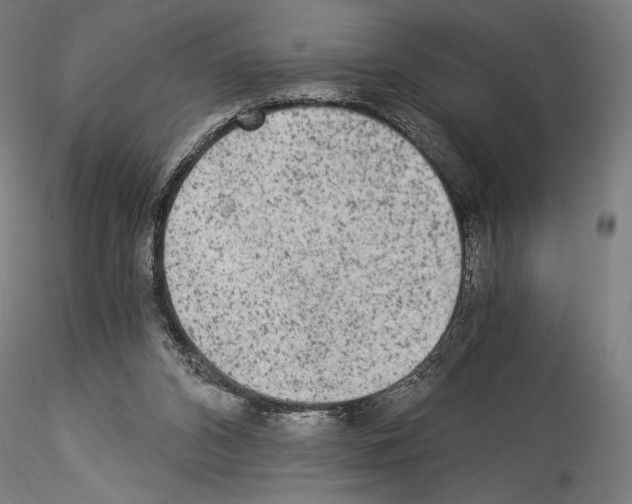 X0000114520112200911301125