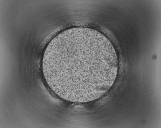 X0000114520113200911301125