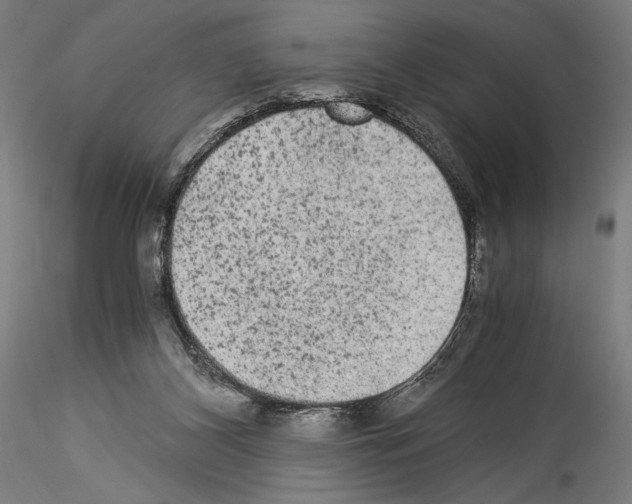 X0000114520116200911301125