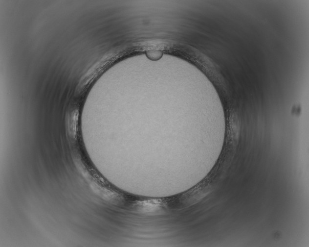 X0000114520118200911301125